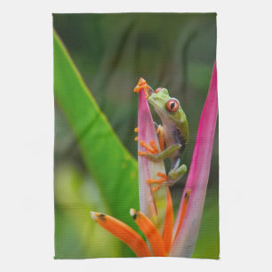 Red-eye tree frog, Costa Rica Tea Towel
