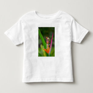 Red-eye tree frog, Costa Rica Toddler T-Shirt