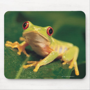 Red eye tree frog mouse pad