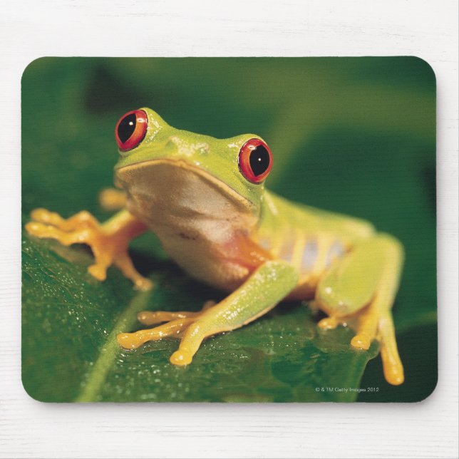 Red eye tree frog mouse pad (Front)
