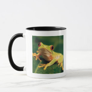 Red eye tree frog mug