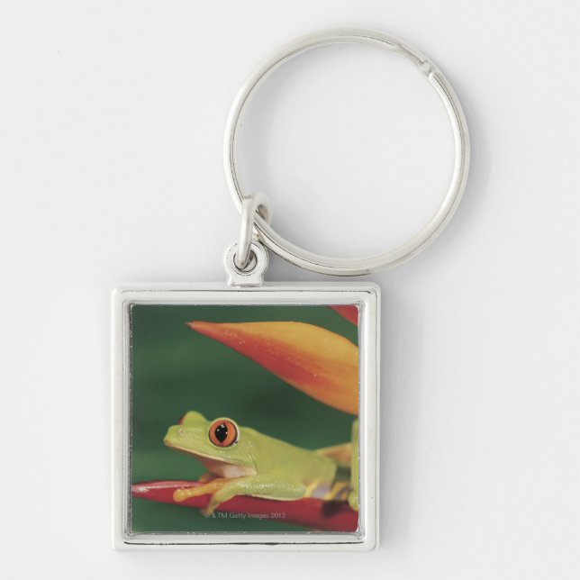 Red eye tree frog sitting on flower key ring (Front)