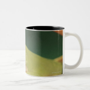 Red eye tree frog sitting on flower Two-Tone coffee mug