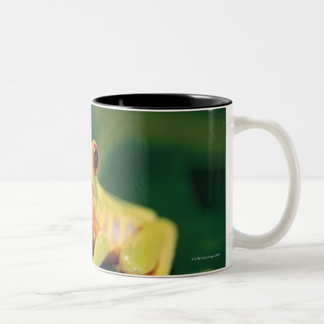Red eye tree frog Two-Tone coffee mug (Right)