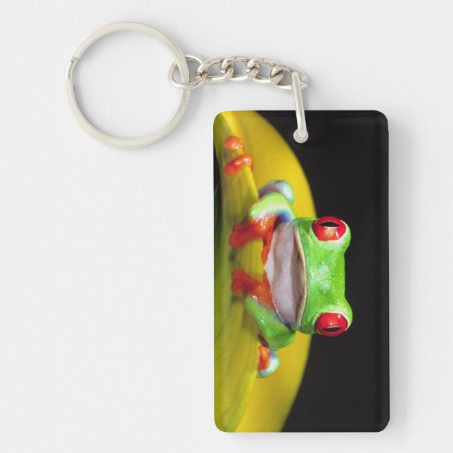 Red Eye Treefrog, Agalychinis callidryas, Native Key Ring (Front)