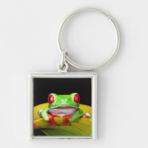 Red Eye Treefrog, Agalychinis callidryas, Native Key Ring
