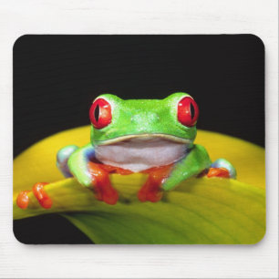 Red Eye Treefrog, Agalychinis callidryas, Native Mouse Pad
