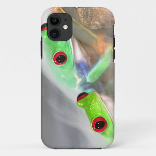 Red Eye Treefrog in the mist, Agalychinis 2 iPhone 11 Case