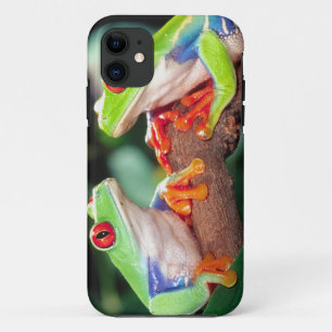 Red Eye Treefrog Pair, Agalychinis callidryas, iPhone 11 Case