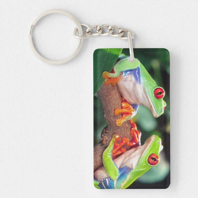 Red Eye Treefrog Pair, Agalychinis callidryas, Key Ring (Front)