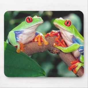 Red Eye Treefrog Pair, Agalychinis callidryas, Mouse Pad
