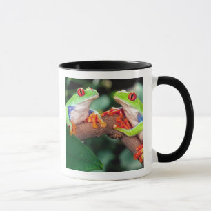 Red Eye Treefrog Pair, Agalychinis callidryas, Mug