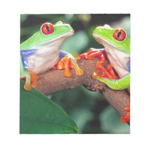 Red Eye Treefrog Pair, Agalychinis callidryas, Notepad