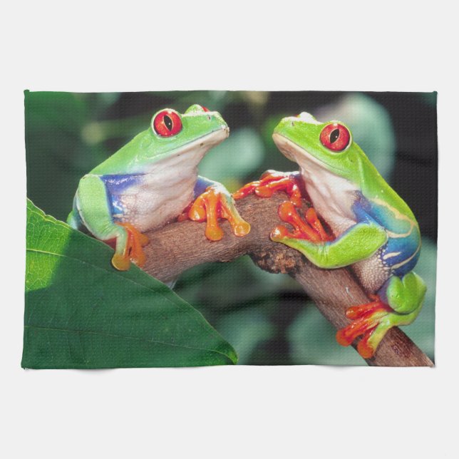 Red Eye Treefrog Pair, Agalychinis callidryas, Tea Towel (Horizontal)