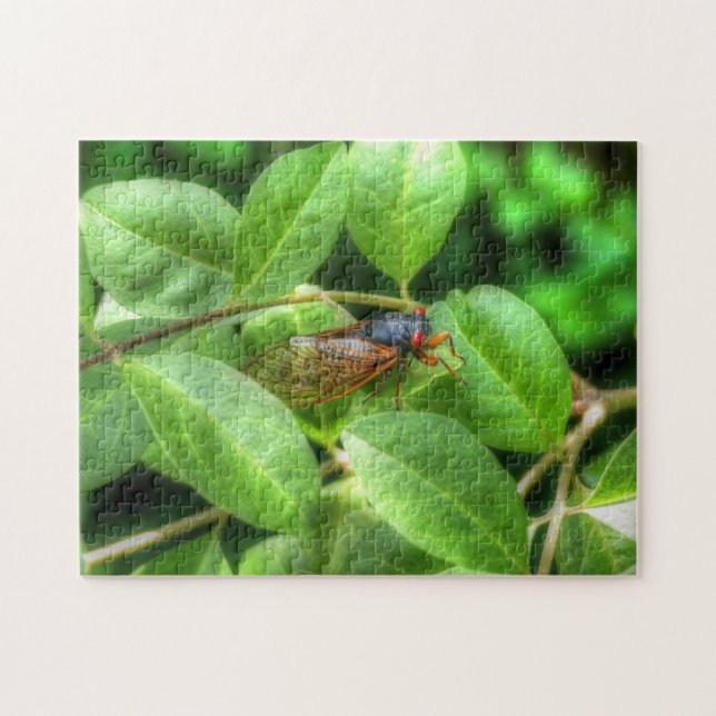 Red Eyed Cicada  Jigsaw Puzzle (Horizontal)