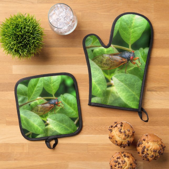 Red Eyed Cicada  Oven Mitt & Pot Holder Set (Top Down)