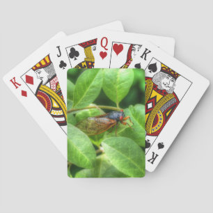 Red Eyed Cicada Playing Cards