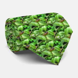 Red Eyed Cicada Tie