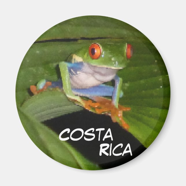 Red Eyed Gaudy Frog Customisable Magnet (Front)