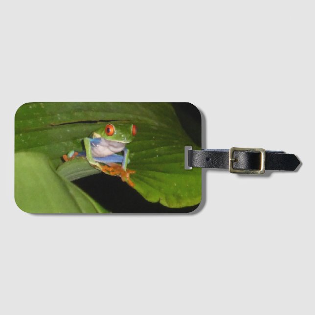 Red Eyed Gaudy Frog Luggage Tag (Front Horizontal)