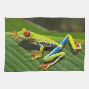 Red Eyed Green Tree Frog Tea Towel