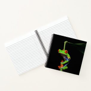Red Eyed Painted Frog Notebook