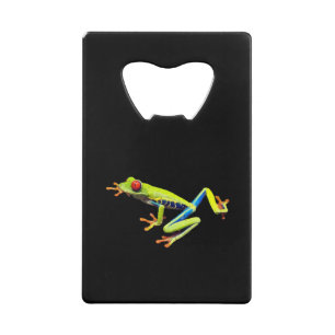 Red Eyed Painted Tree Frog
