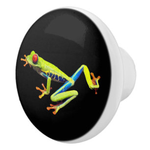 Red Eyed Painted Tree Frog  Ceramic Knob