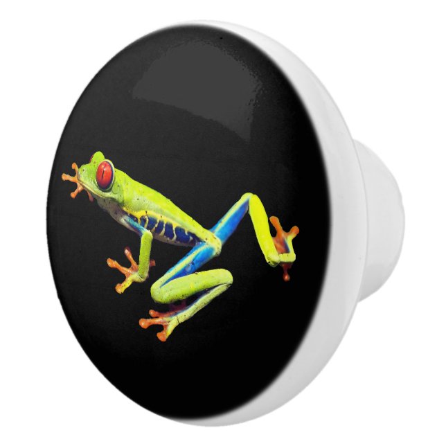 Red Eyed Painted Tree Frog  Ceramic Knob (Right)