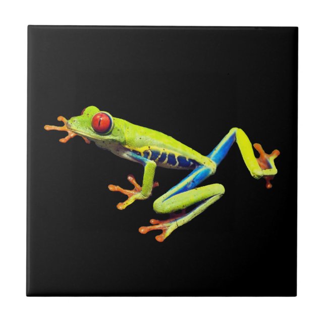 Red Eyed Painted Tree Frog  Ceramic Tile (Front)