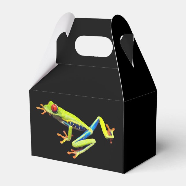 Red Eyed Painted Tree Frog  Favour Box (Front Side)