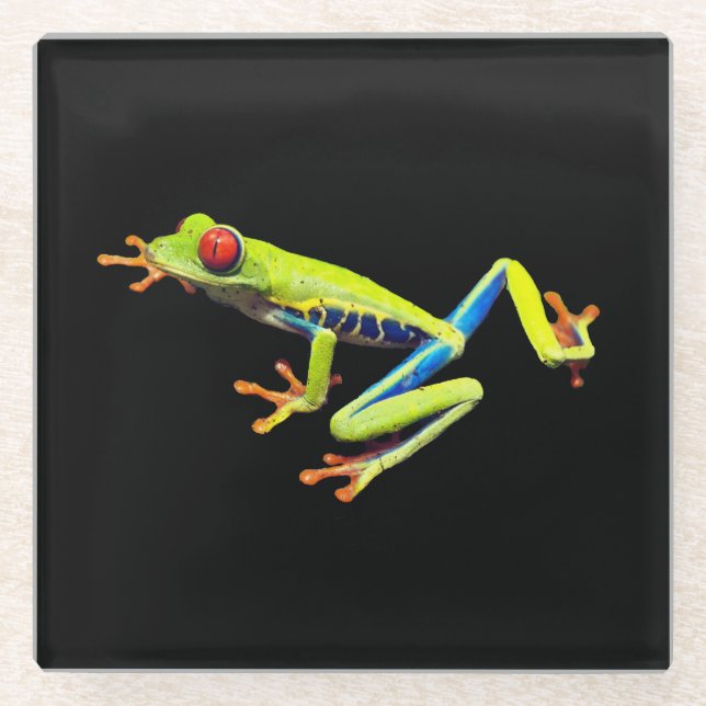 Red Eyed Painted Tree Frog  Glass Coaster (Front)
