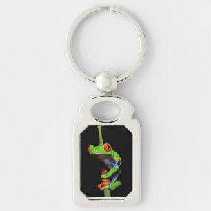 Red Eyed Painted Tree Frog Key Ring