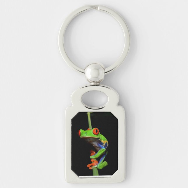 Red Eyed Painted Tree Frog Key Ring (Front)