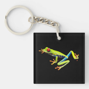 Red Eyed Painted Tree Frog Key Ring