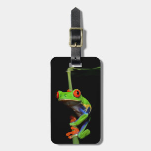 Red Eyed Painted Tree Frog Luggage Tag
