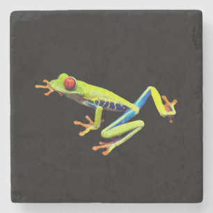 Red Eyed Painted Tree Frog Stone Coaster