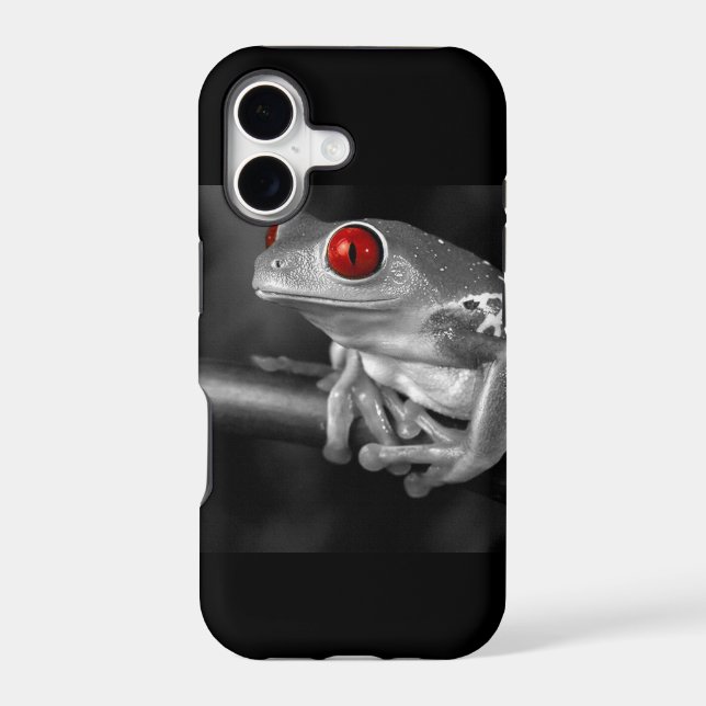 Red Eyed Tree Frog (Back)
