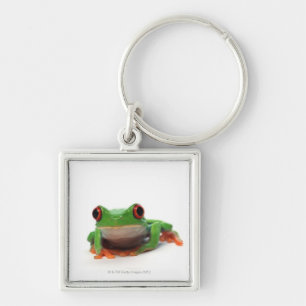 Red eyed tree frog 2 key ring