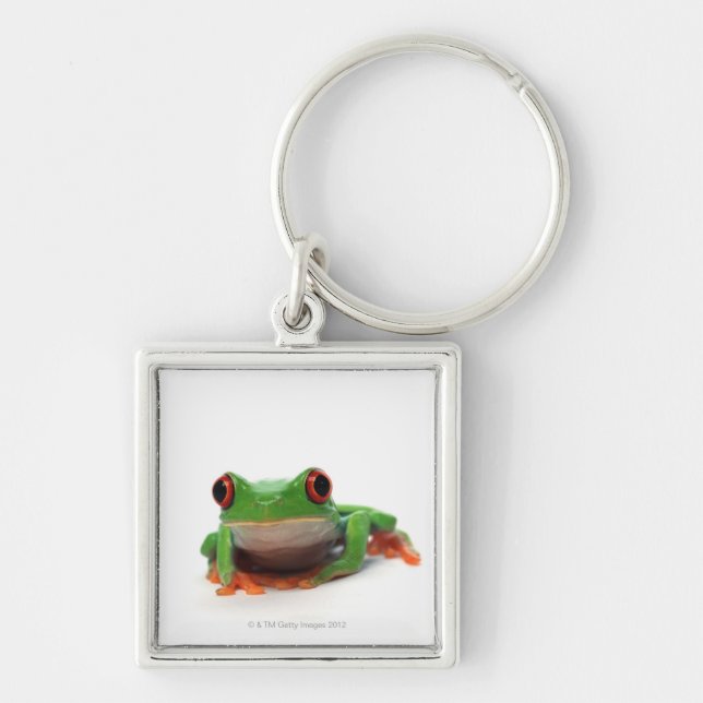 Red eyed tree frog 2 key ring (Front)
