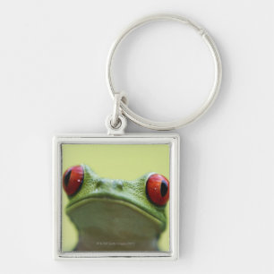 Red-eyed tree frog (Agalychnis callidryas) 2 Key Ring