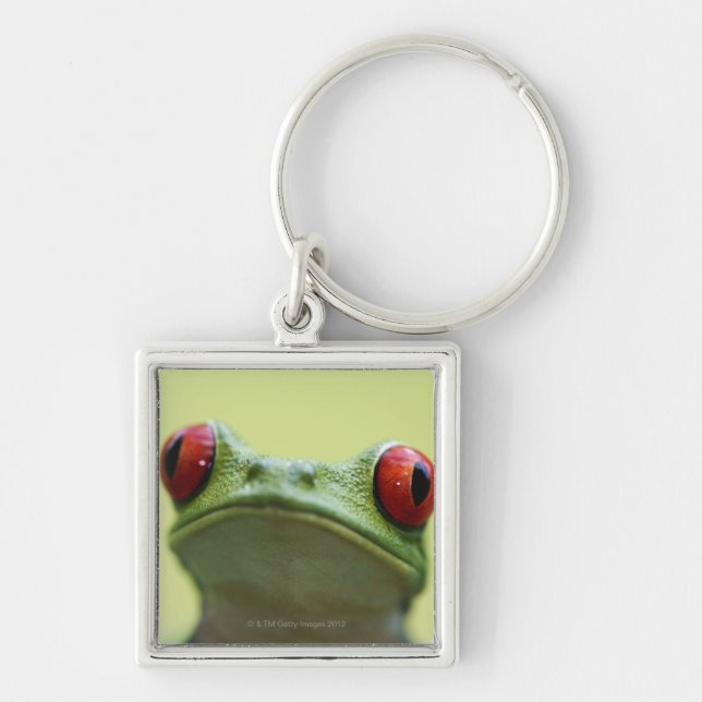 Red-eyed tree frog (Agalychnis callidryas) 2 Key Ring (Front)