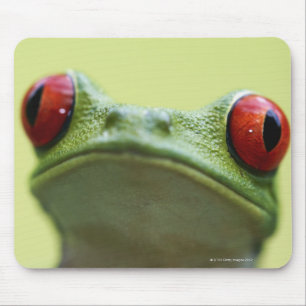Red-eyed tree frog (Agalychnis callidryas) 2 Mouse Pad