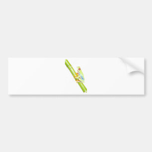 red eyed tree frog bumper sticker