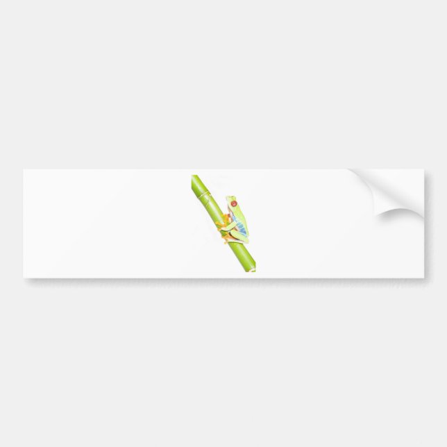 red eyed tree frog bumper sticker (Front)