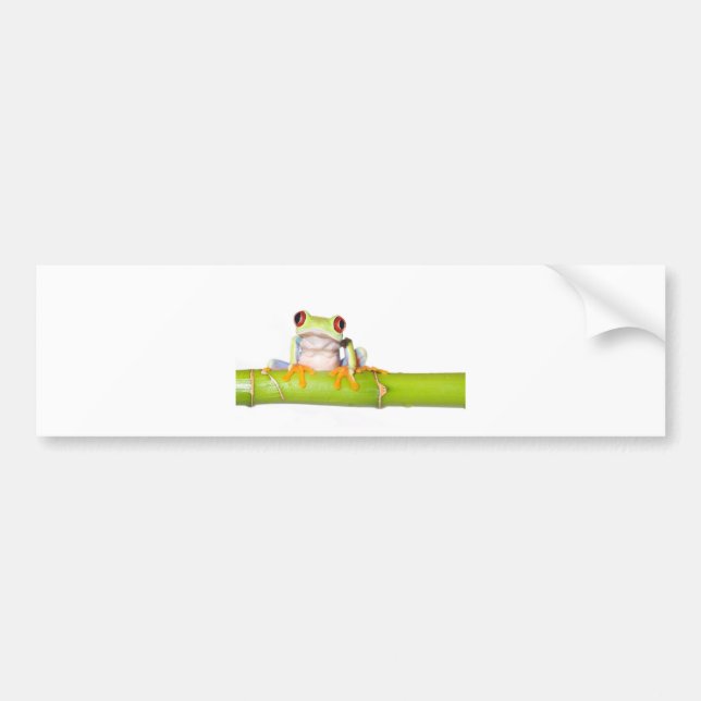 red eyed tree frog bumper sticker (Front)