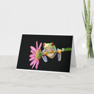 red eyed tree frog card