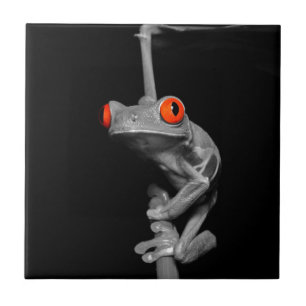 Red Eyed Tree Frog Ceramic Tile