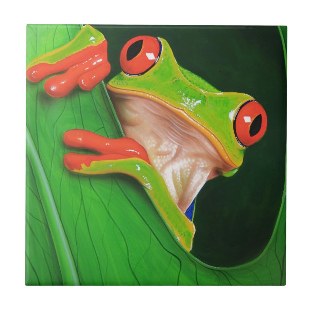 Red Eyed Tree Frog Ceramic Tile (Front)