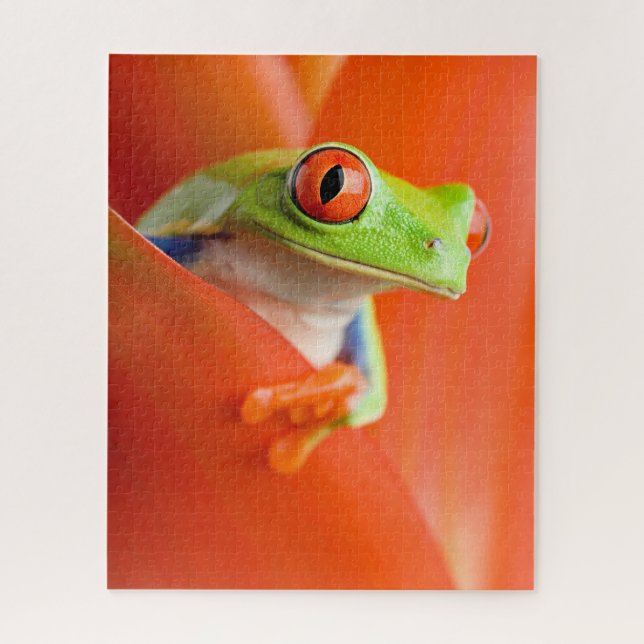 Red-eyed Tree Frog Close-up, Jigsaw Puzzle (Vertical)